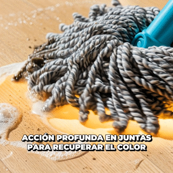 LIMPIADOR PISOS MAGICOS